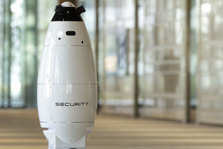 security robots
